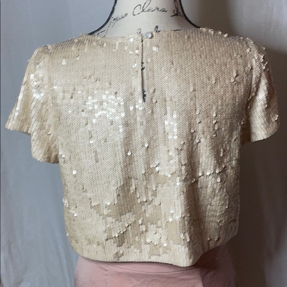 BHLDN Pallavi Mohan- Sequin Tahlia Blush Top - Picture 5 of 6